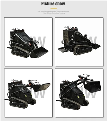 Gode ​​nyheter! Skid Steer Loader-Sell godt